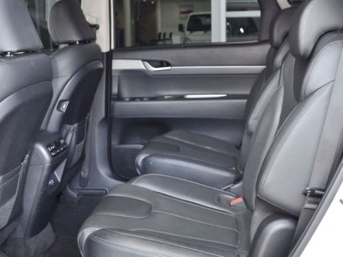 Hyundai Palisade Elite - 7 Seater in Botswana