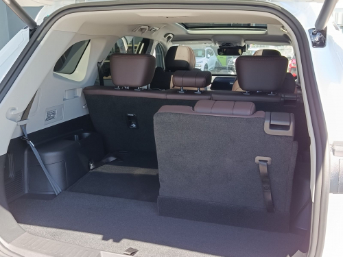 Chery Tiggo 8 Pro max Executive 2.0 TGDi in Botswana