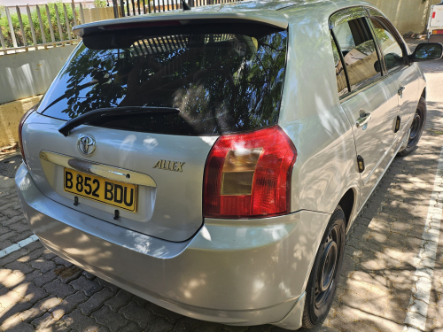 Toyota Allex in Botswana